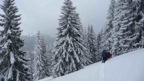Drumeție în Munții Călimani