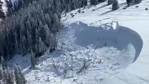 Comunicat de presă CAR, stop acces motorizați în parcuri naturale și alte arii naturale protejate