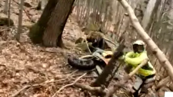 Comunicat CAR cu privire la accesul motorizat în fondul forestier si arii naturale protejate.