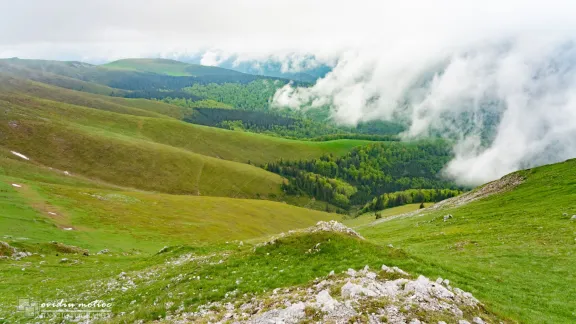 Creasta Munților Vâlcan, MERINITO