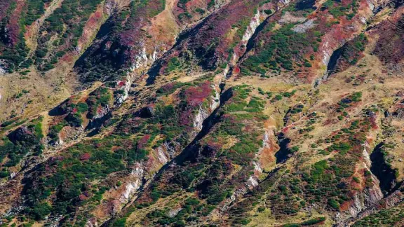 Prima zăpadă în Godeanu (22-23 septembrie 2012)