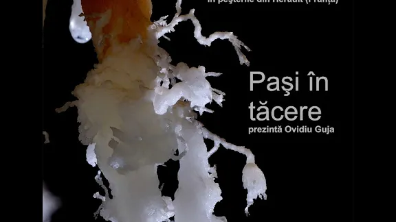 Proiectie: "Pasi in tacere" cu Ovidiu Guja, 22/11, la Cluj