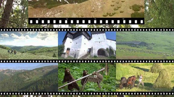 Invitatie la film: "WILD CARPATHIA", joi 3 mai, la Cluj