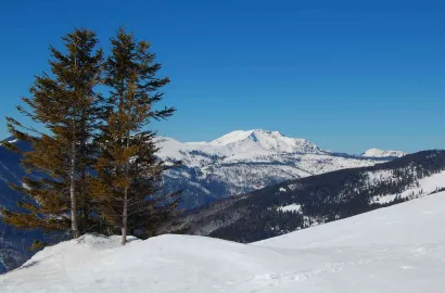 Drumeție pe Pietrosul Bardăului 