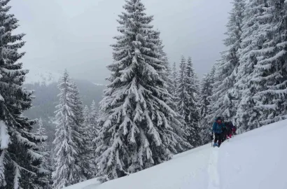 Drumeție în Munții Călimani