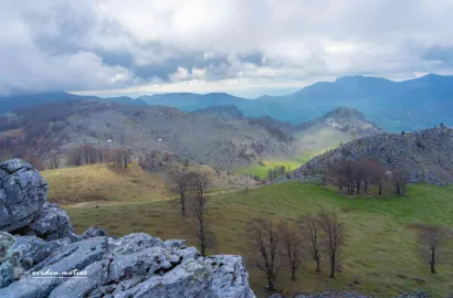 Tufărișuri mediteraneene și narcise în Mehedinți, MERINITO