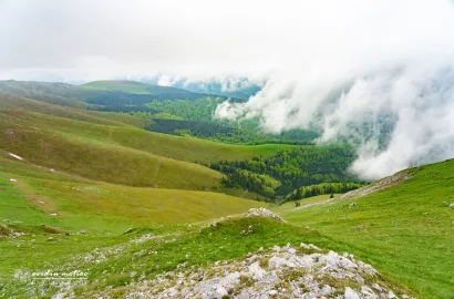 Creasta Munților Vâlcan, MERINITO