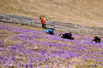 Retezat preţios (12 – 14 August 2010)