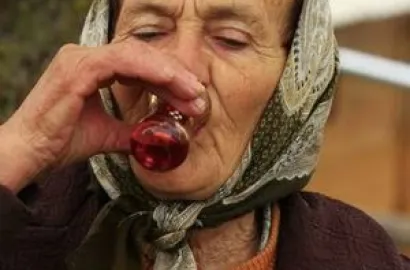 Pe meleagurile lui Horea