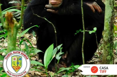 Proiectie foto: "UGANDA", cu Daniel Homorodean, marti 24.02 la Cluj