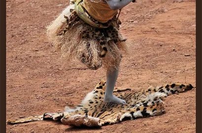 Proiectie: "Congo - adanc in Inima Africii", cu Daniel Homorodean, 2 Dec., la Cluj