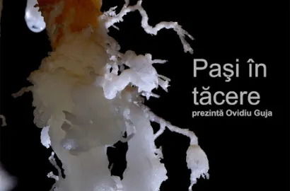 Proiectie: "Pasi in tacere" cu Ovidiu Guja, 22/11, la Cluj