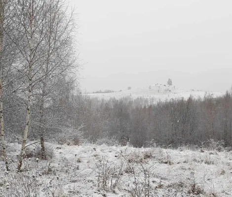 Concurs prietenesc Faget - alergare - ianuarie