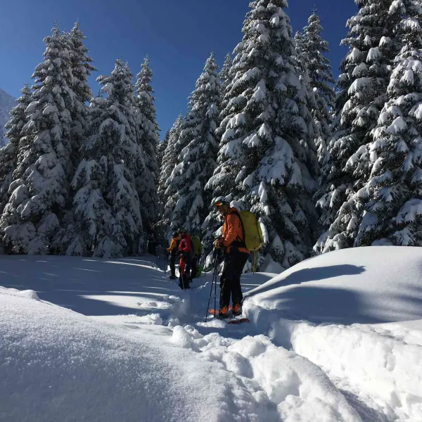 atelier alpinism 18 - 21 martie - spre gentiana