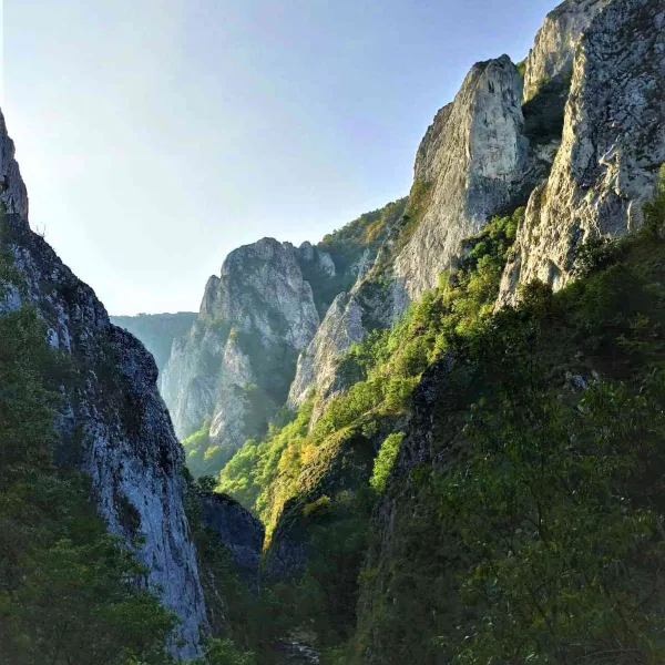 Atelier salvare Cheile Turzii