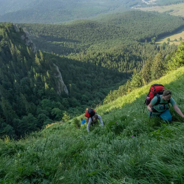 Ciucas, la flori de colt
