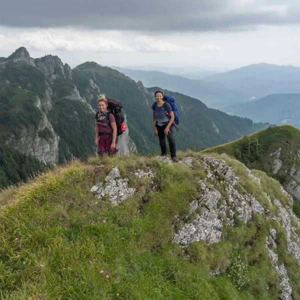 Ciucas, la flori de colt