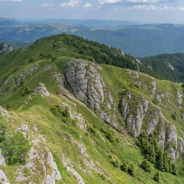 Ciucas, la flori de colt