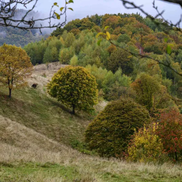 Fotografie in Maramures