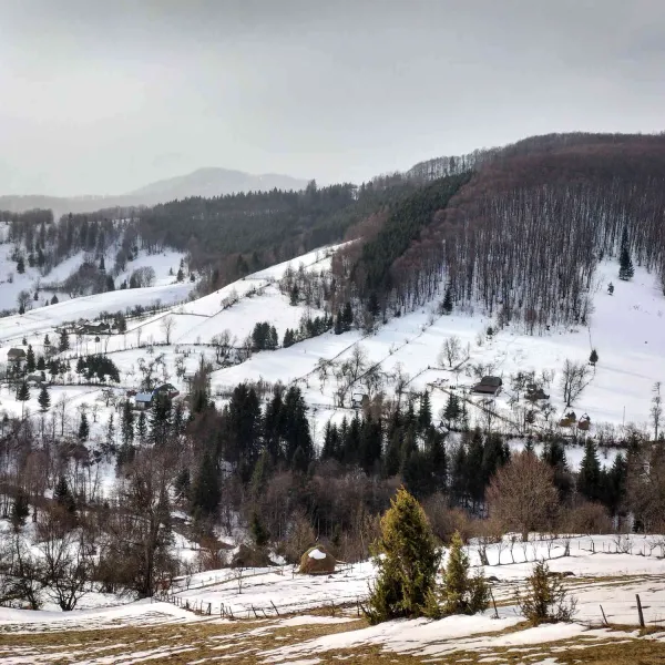 Catune, Muntii Bihor