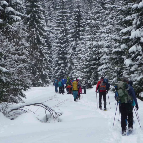 Drumetie in Muntii Calimani