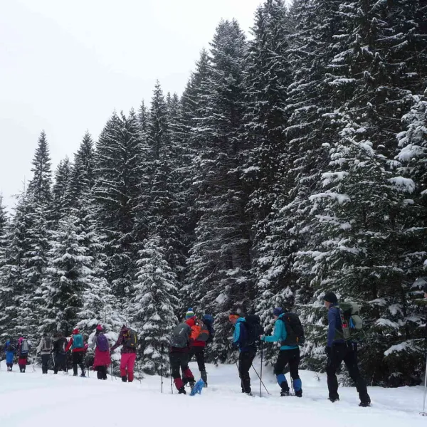 Drumetie in Muntii Calimani