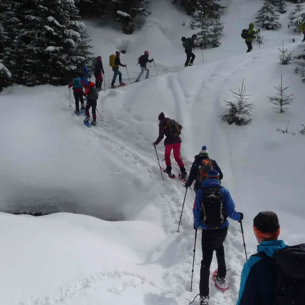 Drumetie in Muntii Calimani