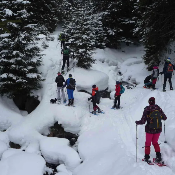 Drumetie in Muntii Calimani