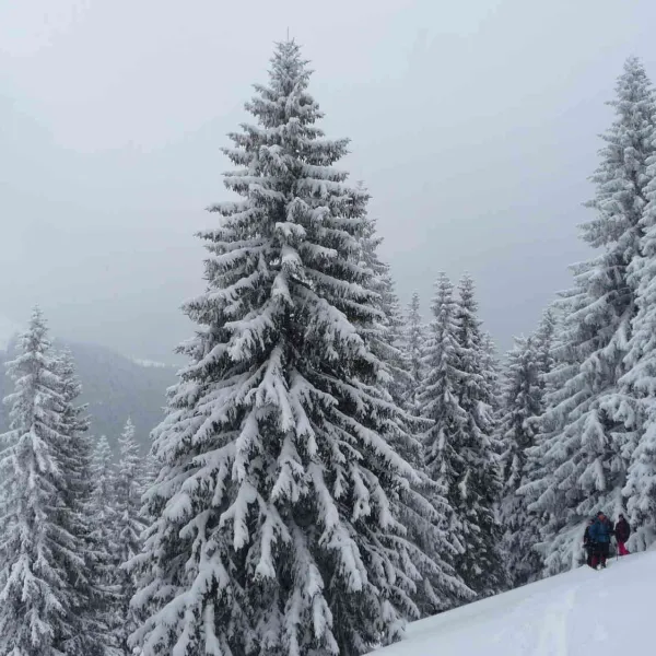 Drumetie in Muntii Calimani 5 martie 2022