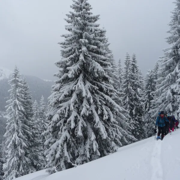 Drumetie in Muntii Calimani