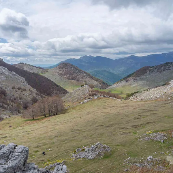 Tufărișuri mediteraneene și narcise în Mehedinți, MERINITO