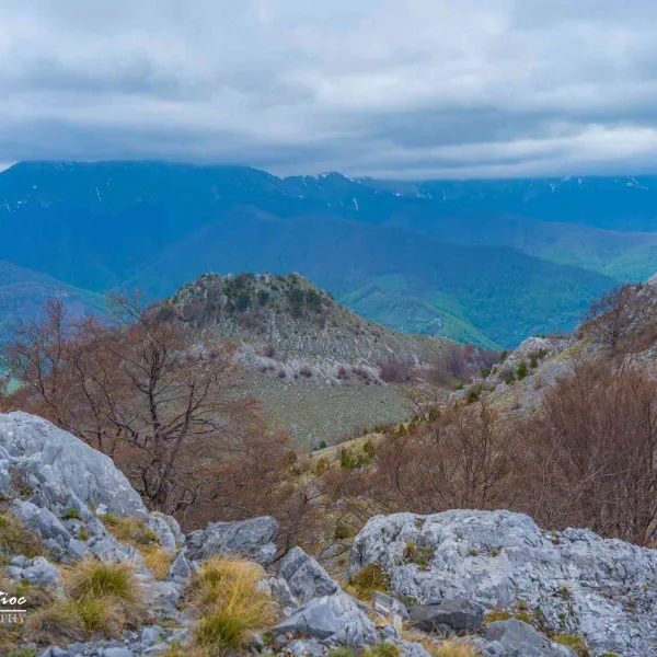 Tufărișuri mediteraneene și narcise în Mehedinți, MERINITO