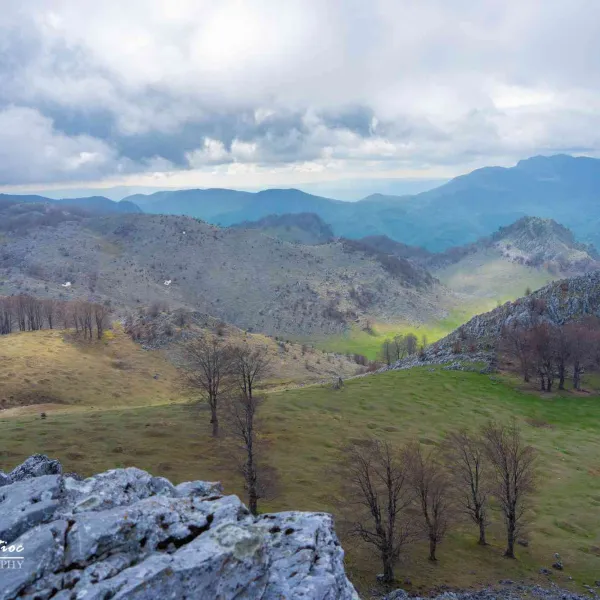 Tufărișuri mediteraneene și narcise în Mehedinți, MERINITO