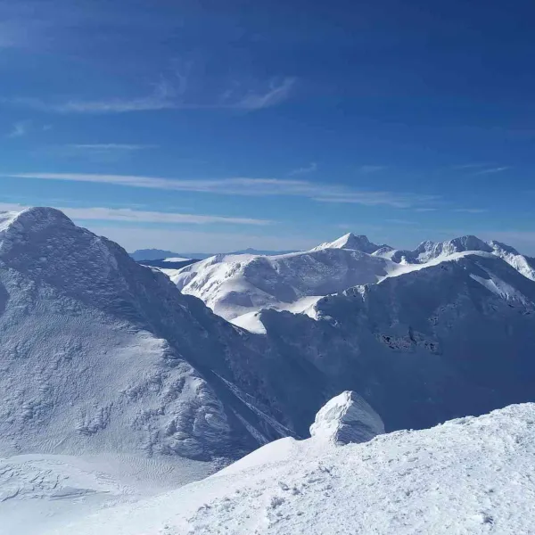 superbetea Fagarasilor