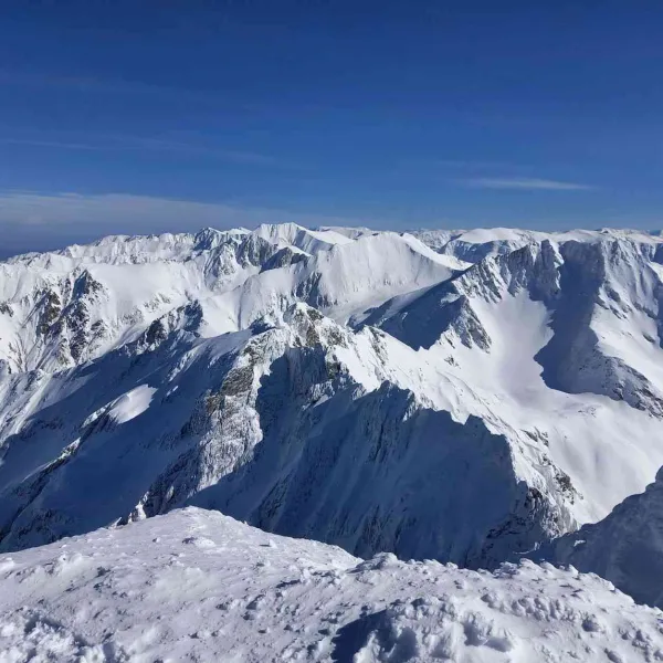 superbetea Fagarasilor