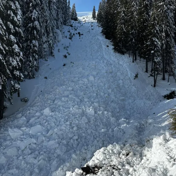 Avalansa_muntii-Maramuresului