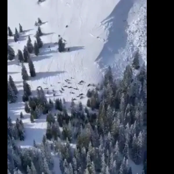 avalansa muntii Maramuresului