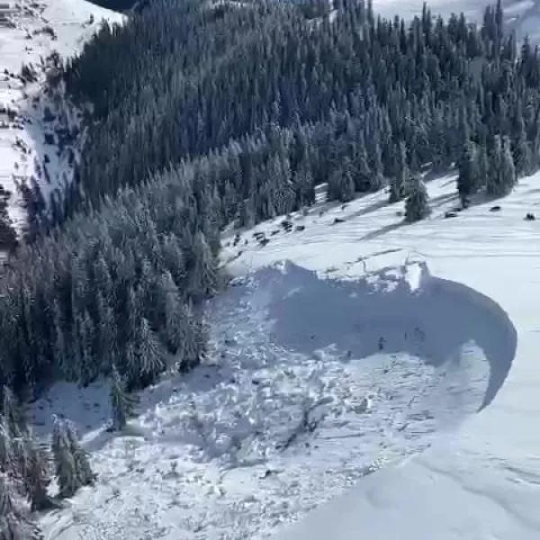 avalansa muntii Maramuresului