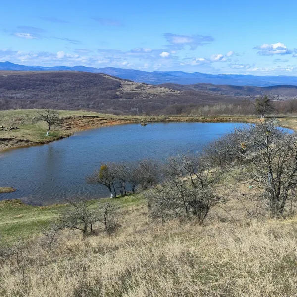 lac Poiana Bivolilor