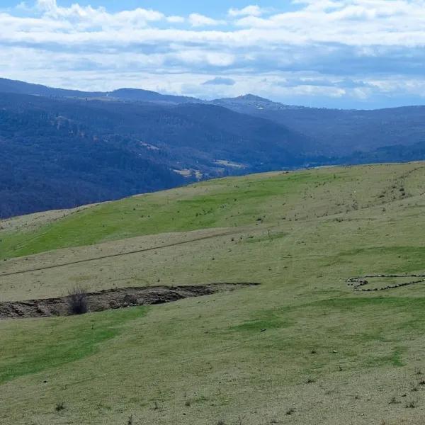 inimioara din pietre pe dealul Garbaului