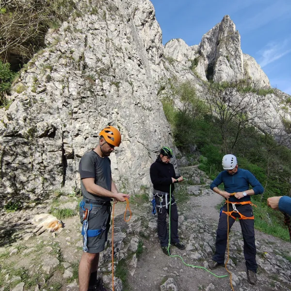 facerea optului frumos