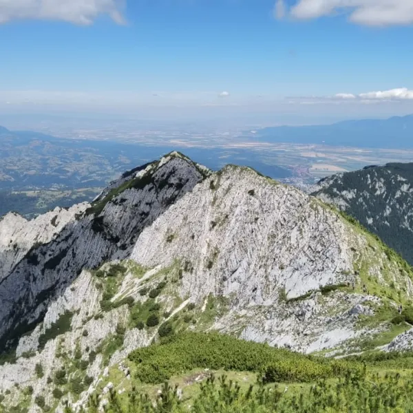 Creasta ascuțită față de vîile laterale