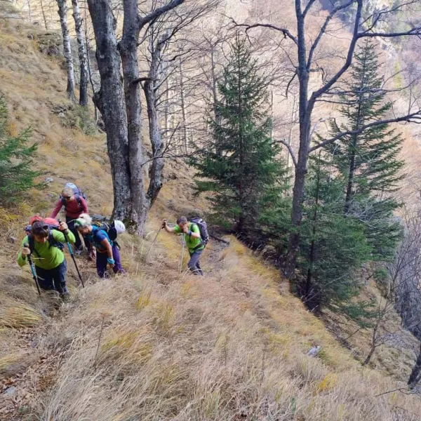 urcare pe muntii Cozia