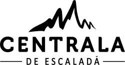 centralaNegruCropped