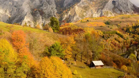 Tură FOTO pe Dealul Bilii | Muntele Mare