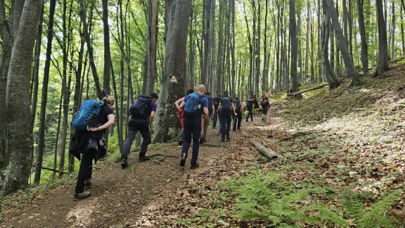 Raport de tură - Drumeție în Munții Făgăraș, Cabana Suru și Vf. Gorganu, Munții Noștri