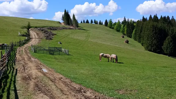 Drumeție pe Via Transilvanica (10-11.05.2024)