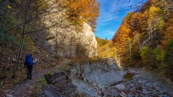 Toamna în M-ții Vrancei, FLEXTAIL 