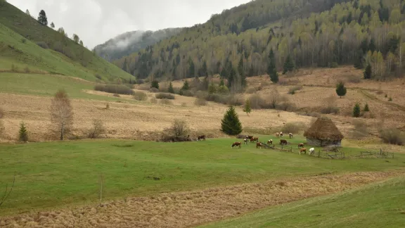  Drumeție pentru voluntarii msg Maraton Apuseni 2025 - Boinic | Zapodie