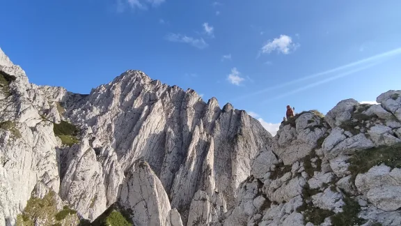 Adoptă un cățărător - ediția pentru tineret